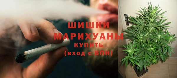 винт Аркадак