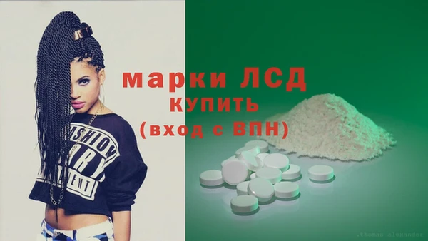 стафф Арсеньев