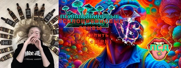 стафф Арсеньев