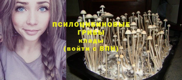 соль курить ск Армянск