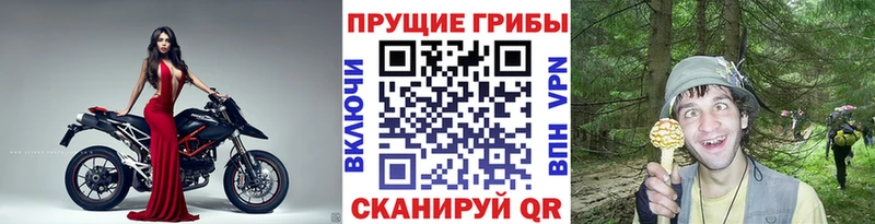 Псилоцибиновые грибы прущие грибы  omg зеркало  Павловский Посад 